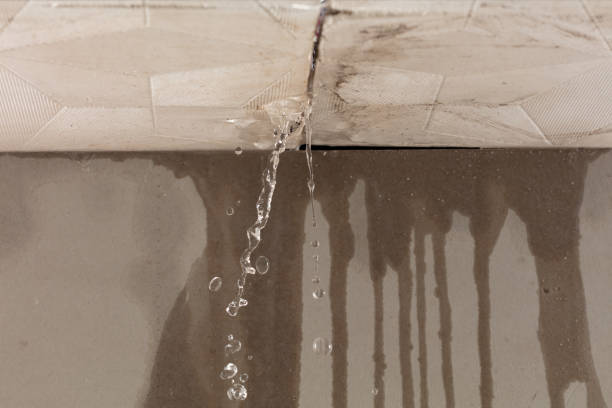 Professional Structural Drying technician working in New Century, KS